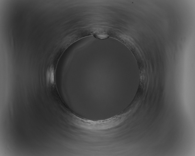 X0000089960046200706291237