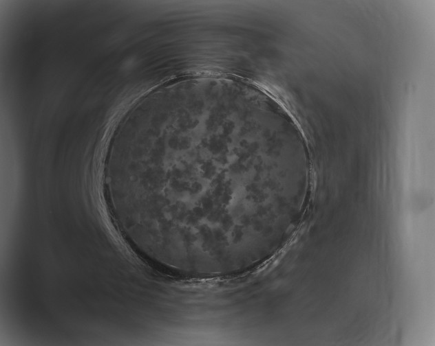 X0000089960049200706291236