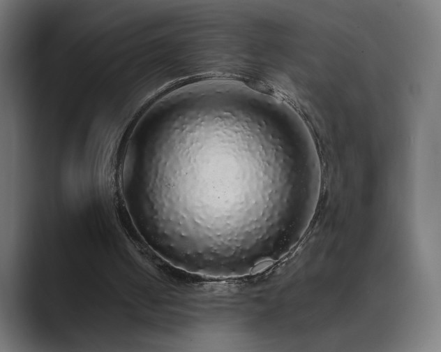 X0000089960050200706291236