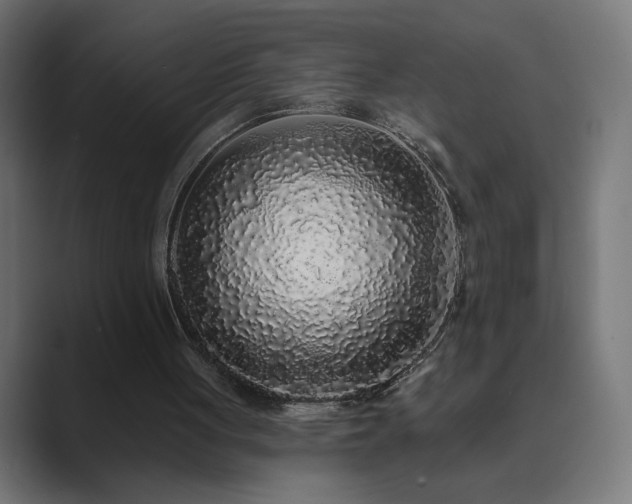 X0000089960051200706291236