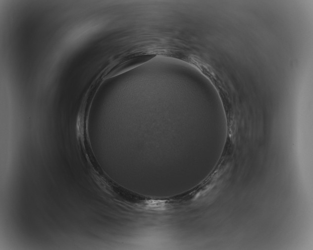 X0000089960052200706291236