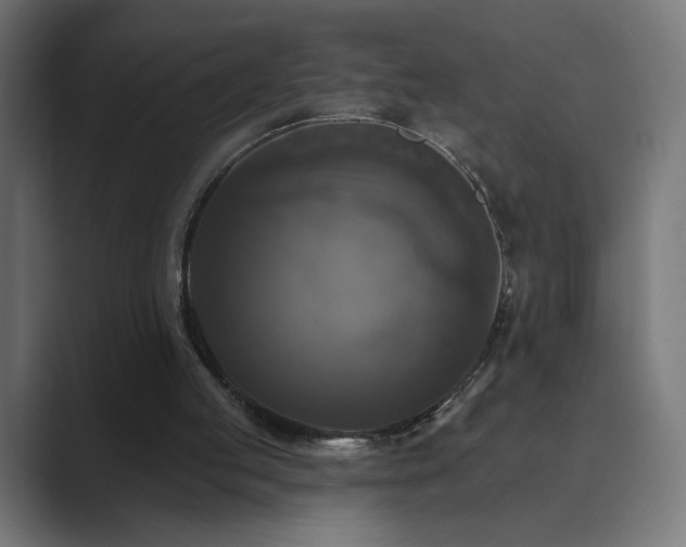X0000089960053200706291236