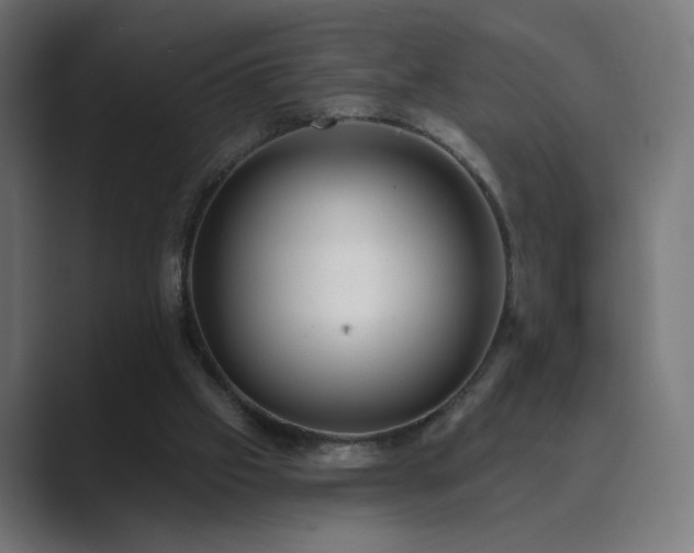 X0000089960057200706291237
