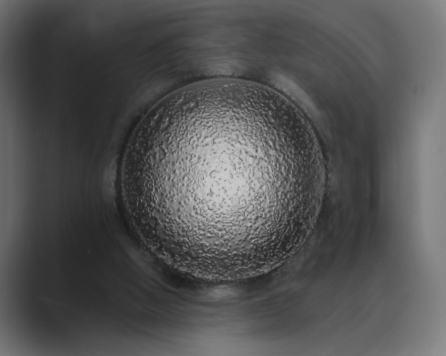 X0000089960058200706291237