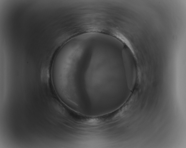 X0000089960059200706291237