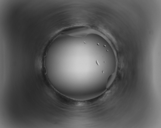 X0000089960060200706291237