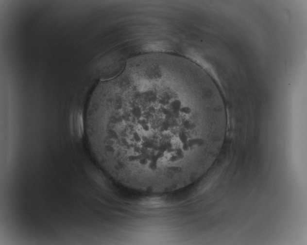 X0000089960061200706291237
