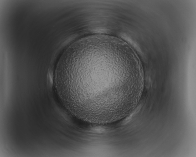 X0000089960062200706291237