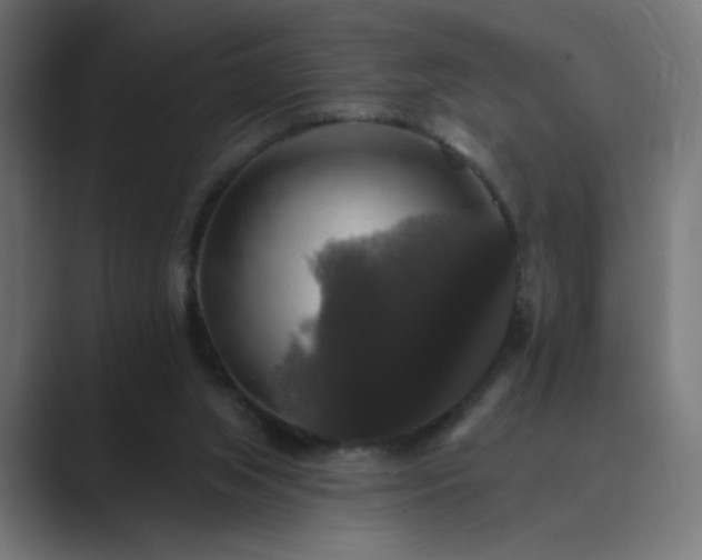 X0000089960063200706291237