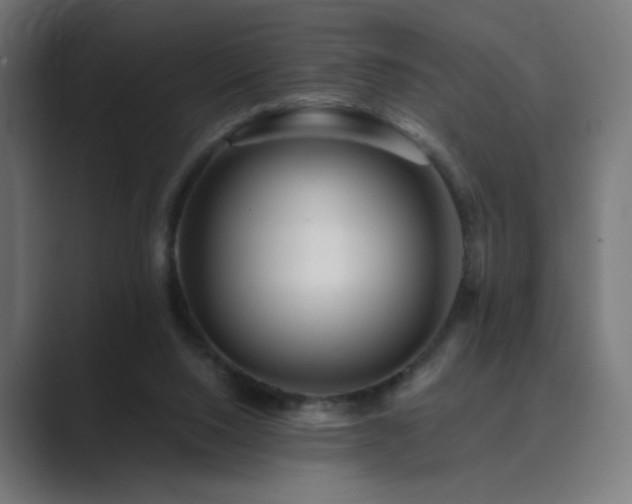 X0000089960064200706291237
