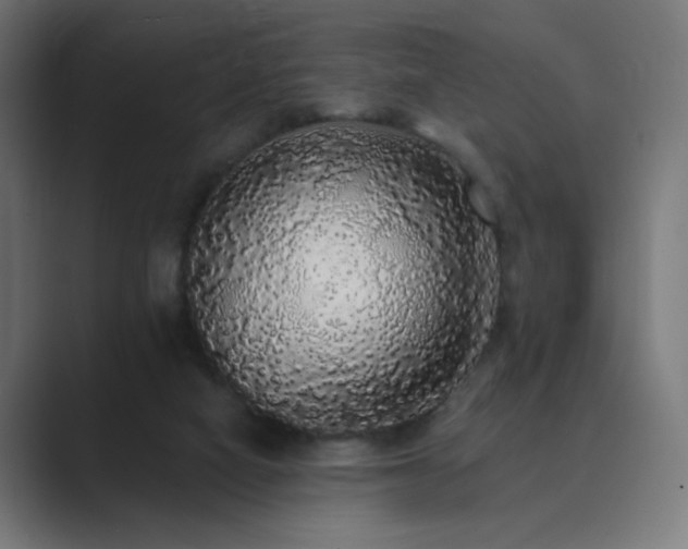 X0000089960066200706291237