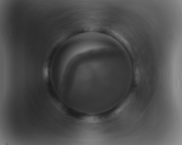 X0000089960067200706291237