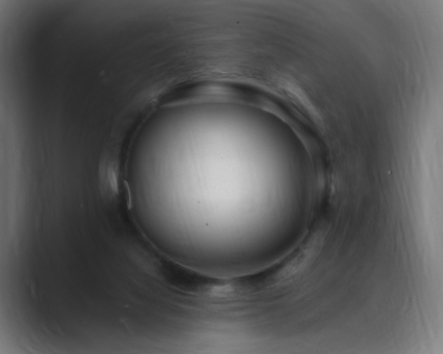 X0000089960068200706291237