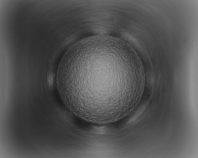 X0000089960071200706291237