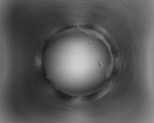 X0000089960072200706291237