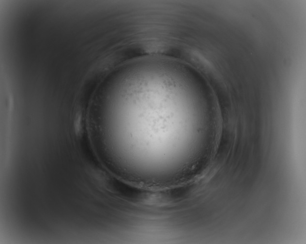 X0000089960074200706291237