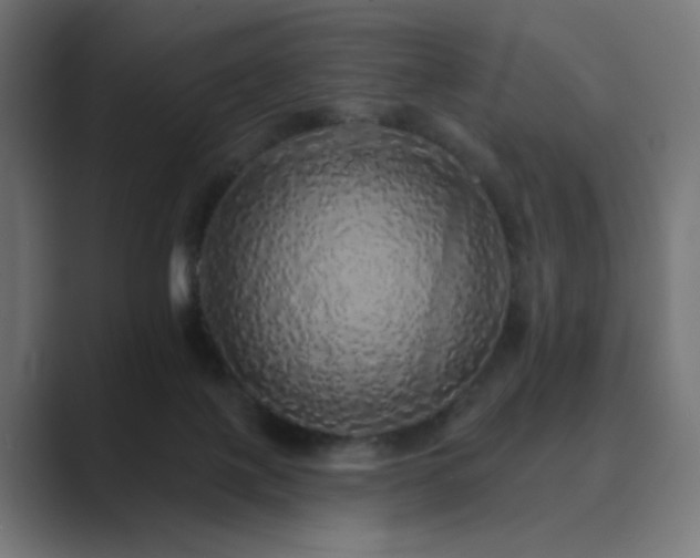X0000089960075200706291237