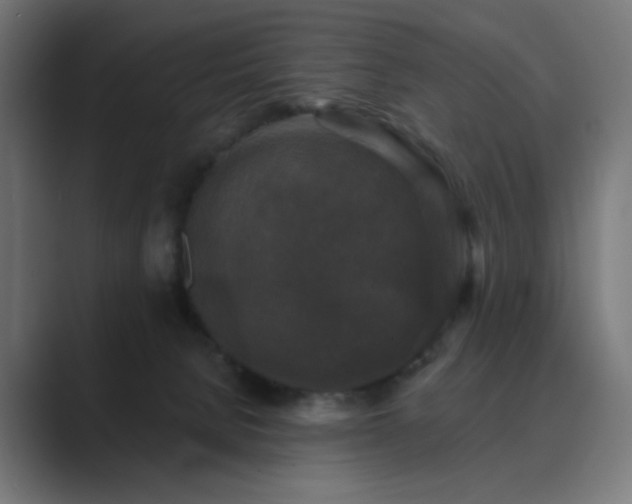 X0000089960080200706291237