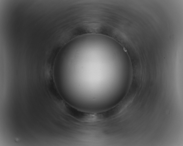 X0000089960083200706291237