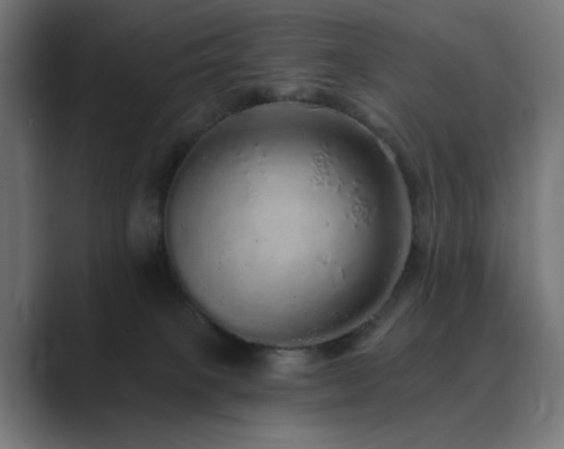 X0000089960085200706291237