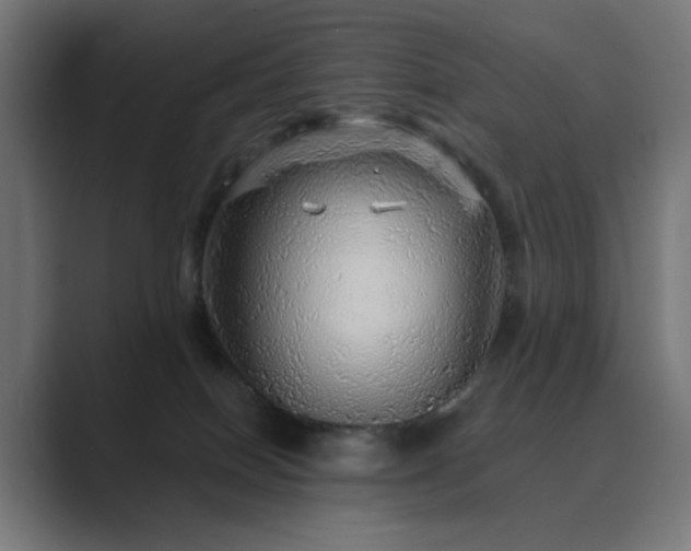X0000089960086200706291237