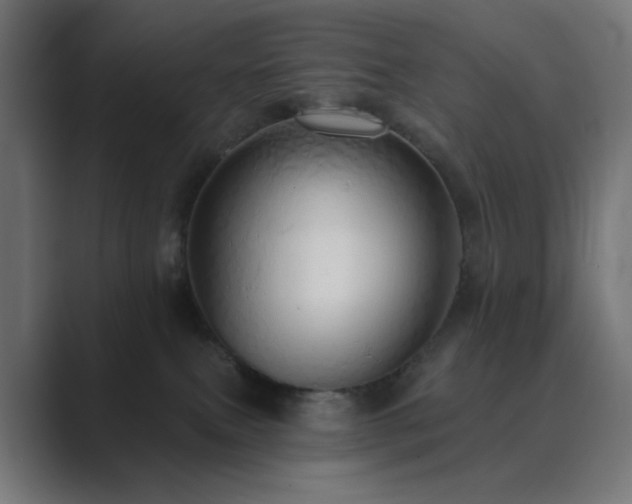X0000089960087200706291237