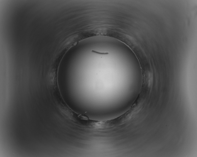 X0000089960092200706291237