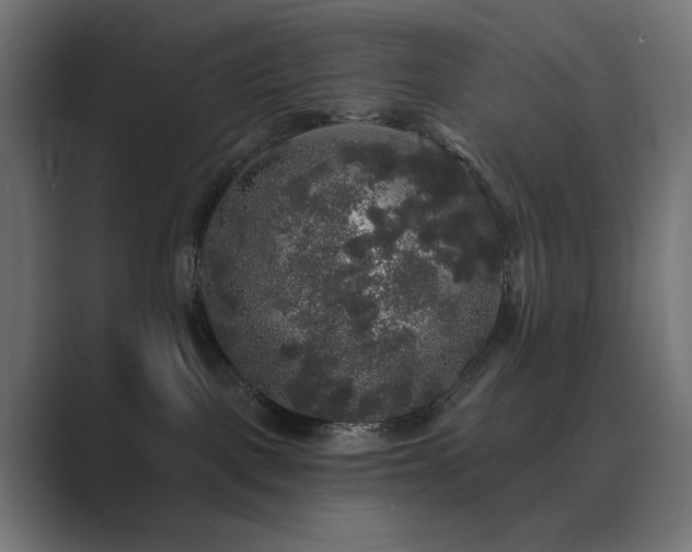 X0000089960093200706291237