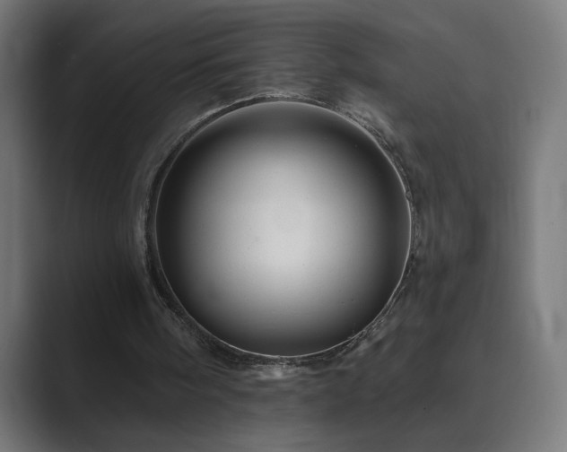 X0000089960098200706291236