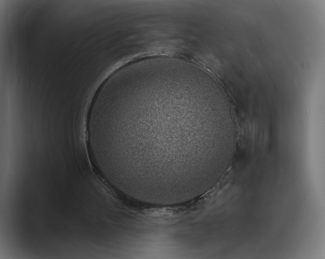 X0000089960100200706291236
