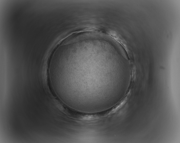 X0000089960101200706291236