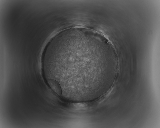 X0000089960102200706291236