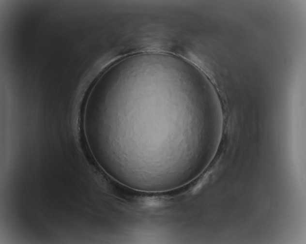 X0000089960103200706291236