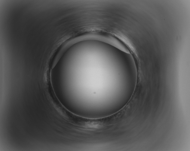 X0000089960105200706291236