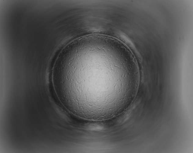 X0000089960106200706291236