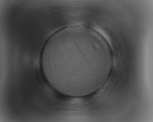X0000089960107200706291236