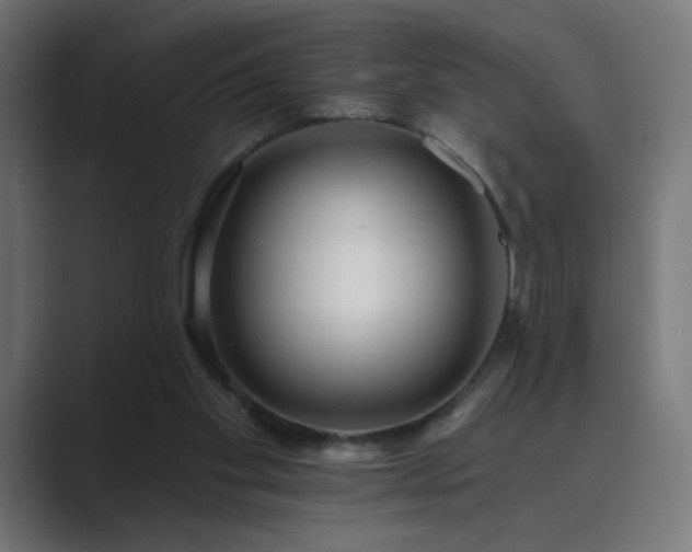 X0000089960109200706291236