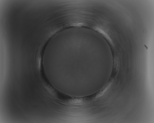 X0000089960110200706291236