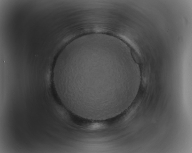 X0000089960111200706291236