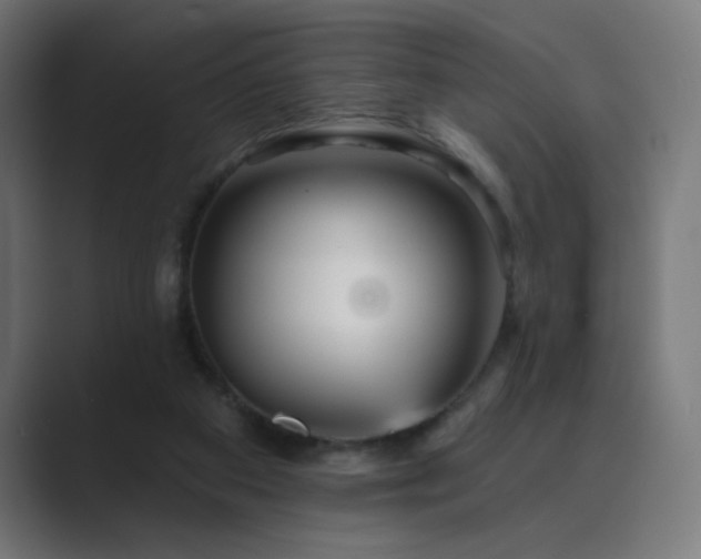 X0000089960113200706291236