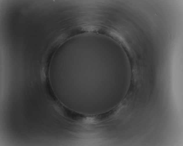 X0000089960114200706291236
