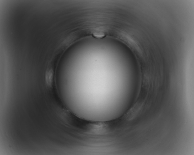 X0000089960118200706291236