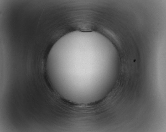 X0000089960121200706291236