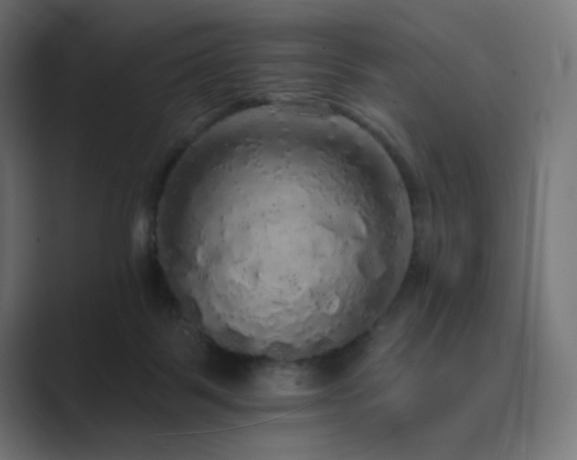 X0000089960123200706291236