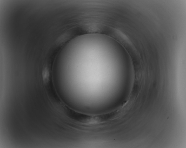X0000089960124200706291236