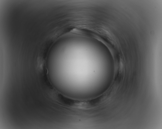 X0000089960125200706291236