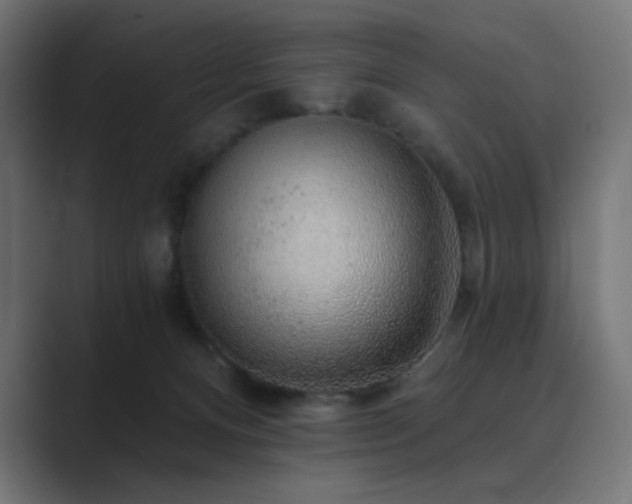 X0000089960128200706291236