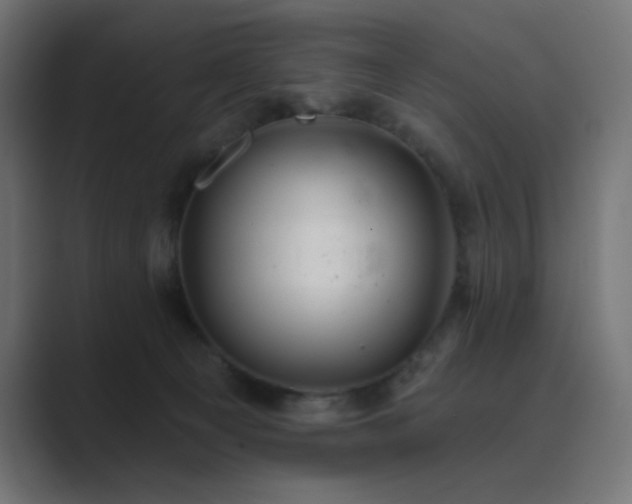 X0000089960129200706291236