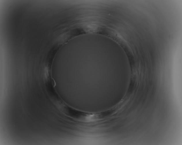 X0000089960130200706291236