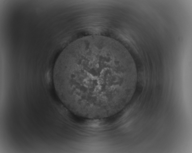 X0000089960131200706291236
